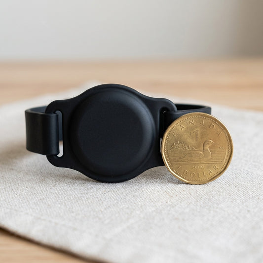 Black KeyBudz PawTag pet collar mount for AirTag shown next to a Canadian one-dollar coin for scale.